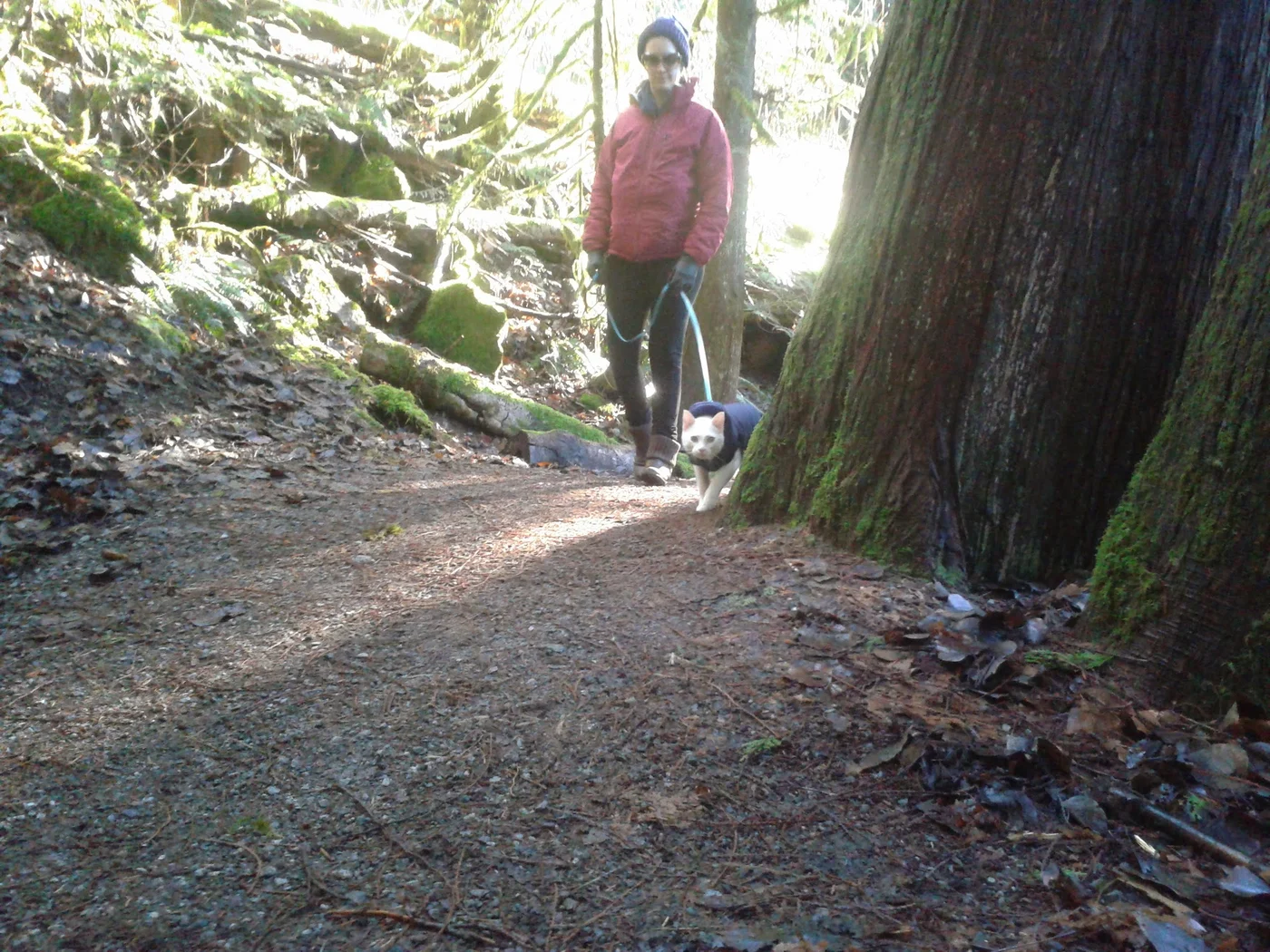 Danielle hiking in the forest with their cat on leash