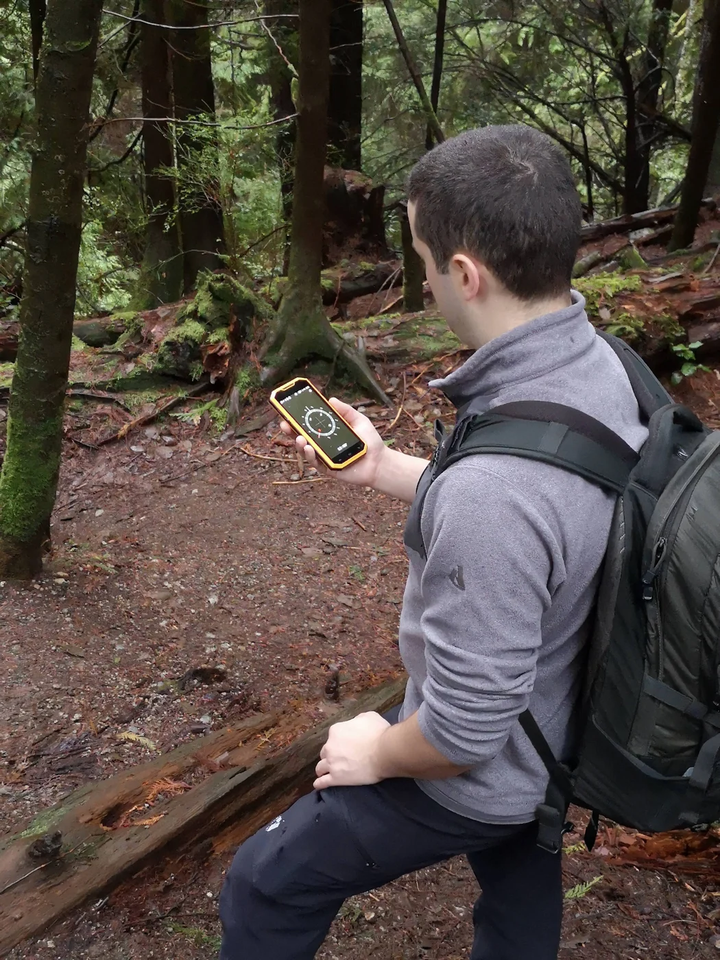 David checking navigation in ancient forest