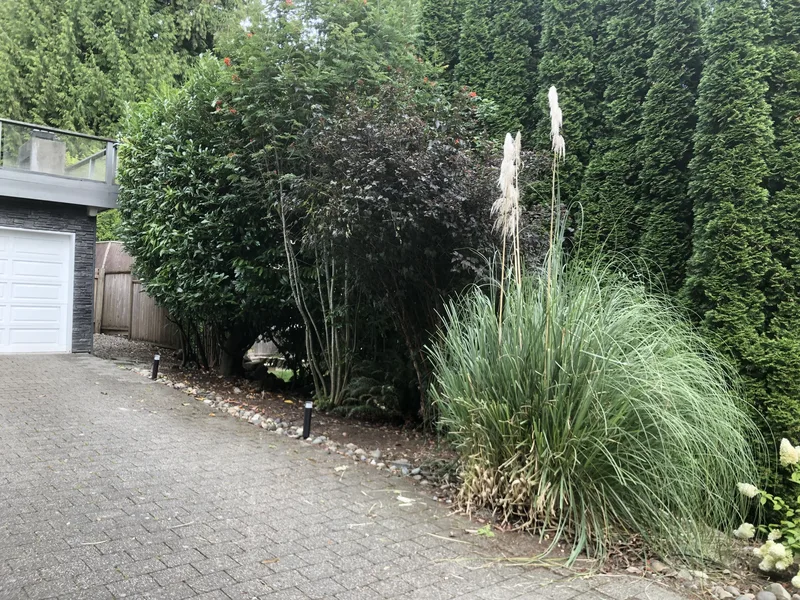 Landscape Lighting & Smart Irrigation