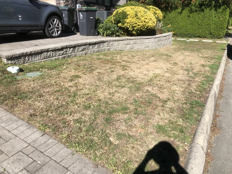 Engineered Concrete Retaining Wall & Paver Parking