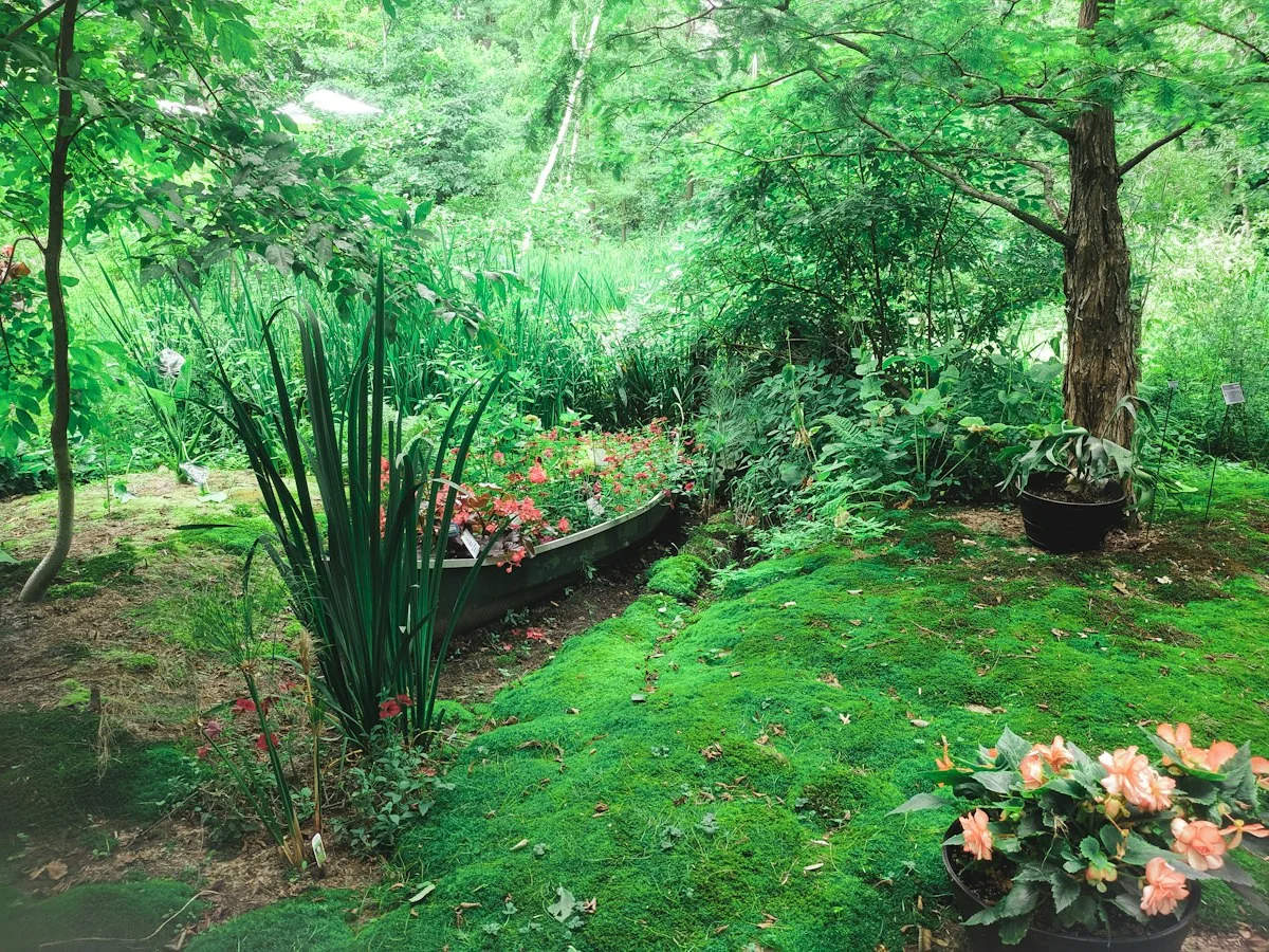 Landscape Maintenance & Estate Care