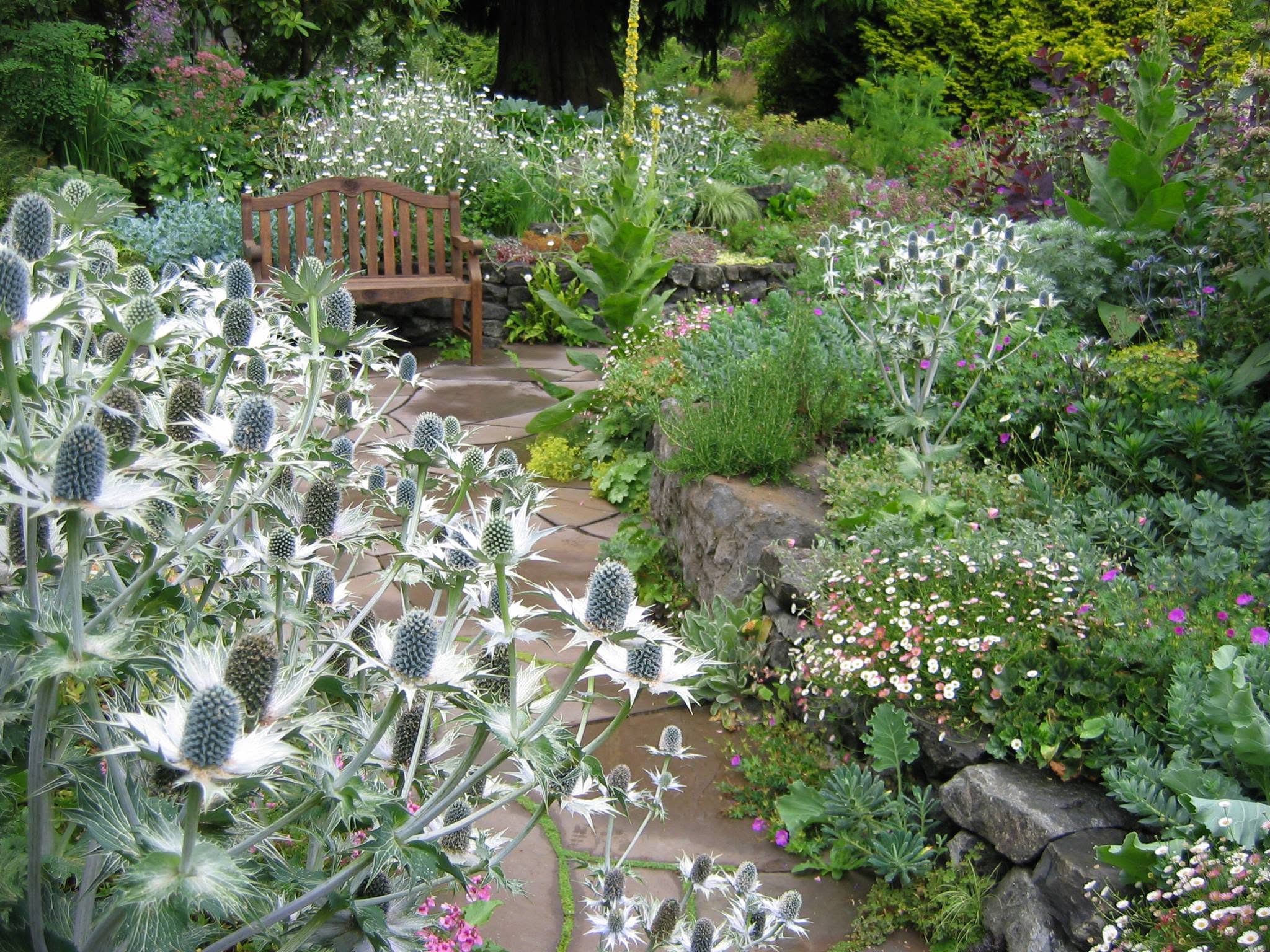 Alpine Stone Terrace & Drystone Wall